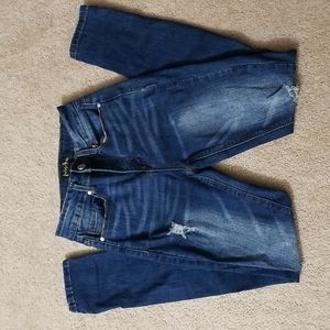 Indigo Rein | High Rise Skinny Jeans